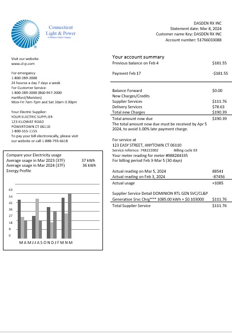 USA Connecticut Light & Power electricity business utility bill in Word and PDF formats